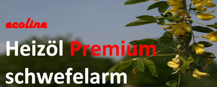 Ecoline Heizoel Premium Schwefelarm